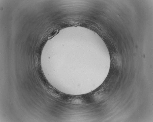 X0000078270412200611251358