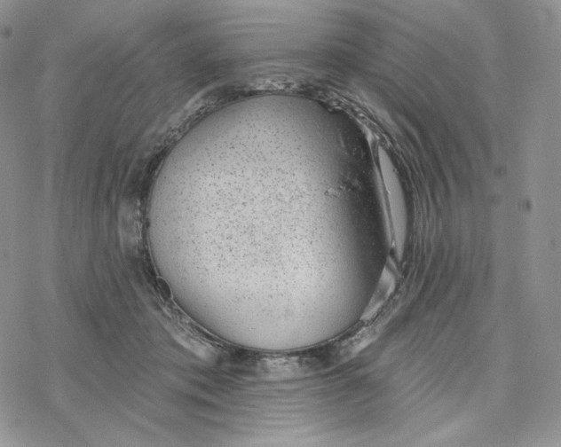 X0000078270413200611251358