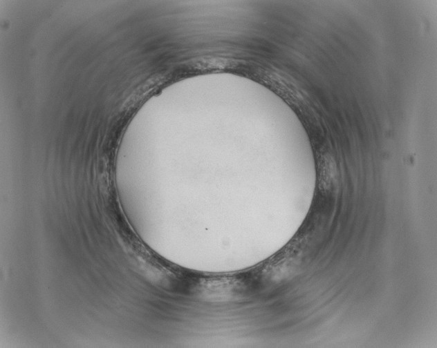 X0000078270414200611251358