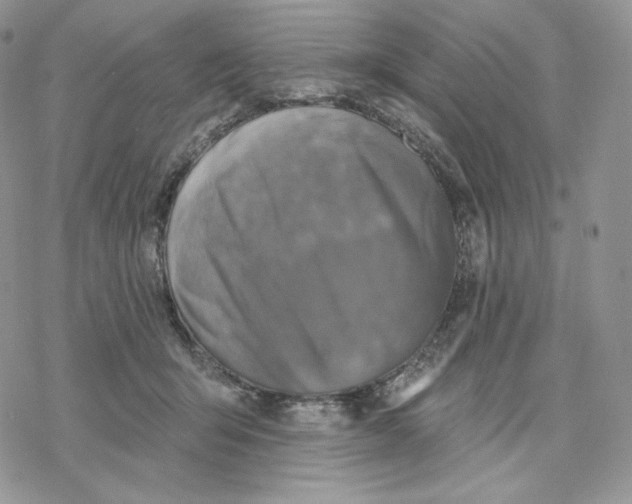 X0000078270415200611251358