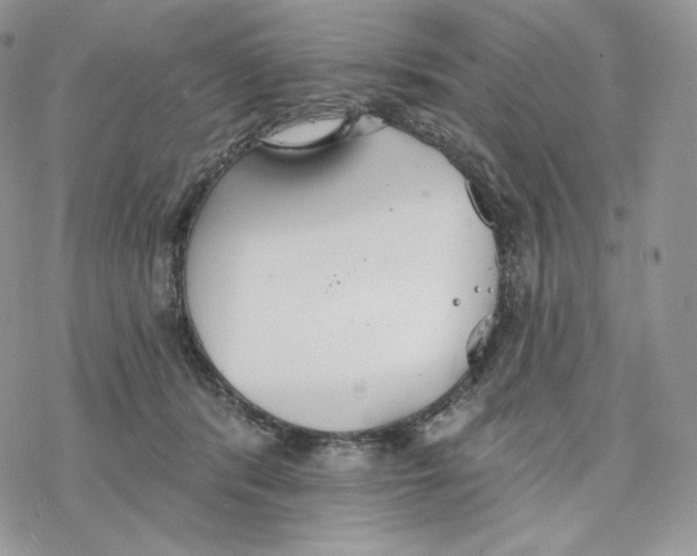 X0000078270416200611251358