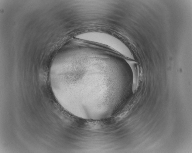 X0000078270417200611251358