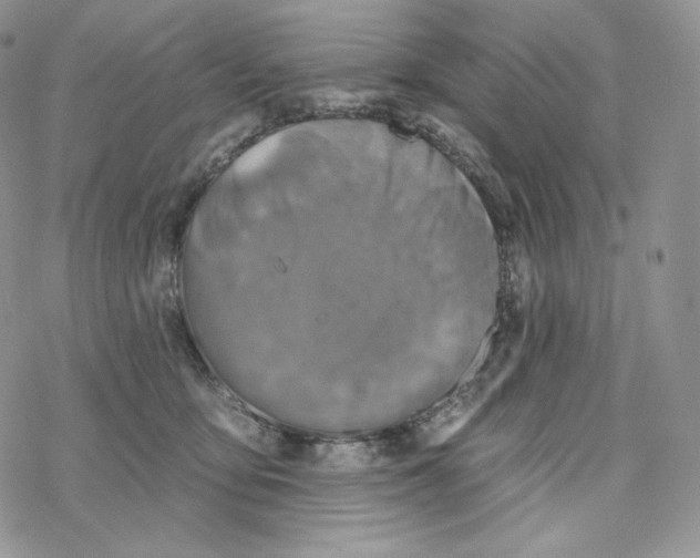 X0000078270419200611251358