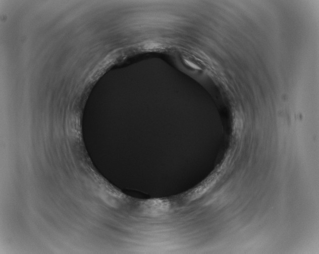 X0000078270421200611251358