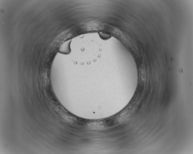 X0000078270422200611251358