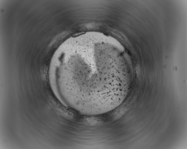 X0000078270423200611251358