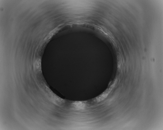 X0000078270425200611251358