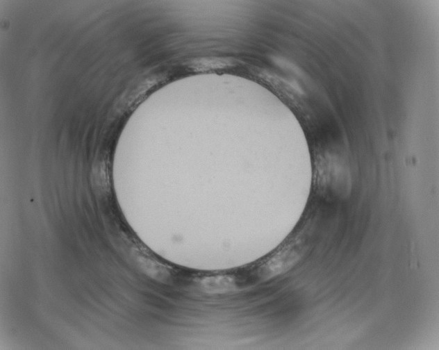 X0000078270426200611251358