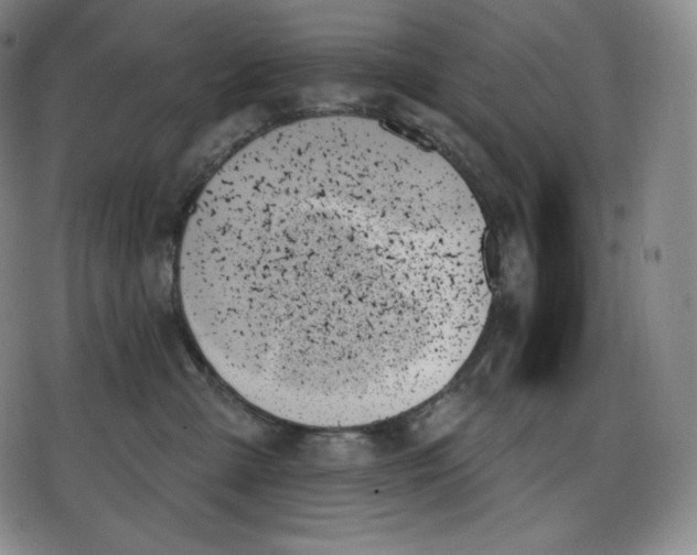 X0000078270427200611251358