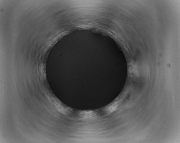 X0000078270428200611251358