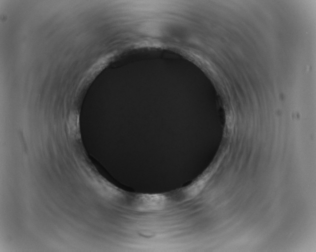 X0000078270429200611251358