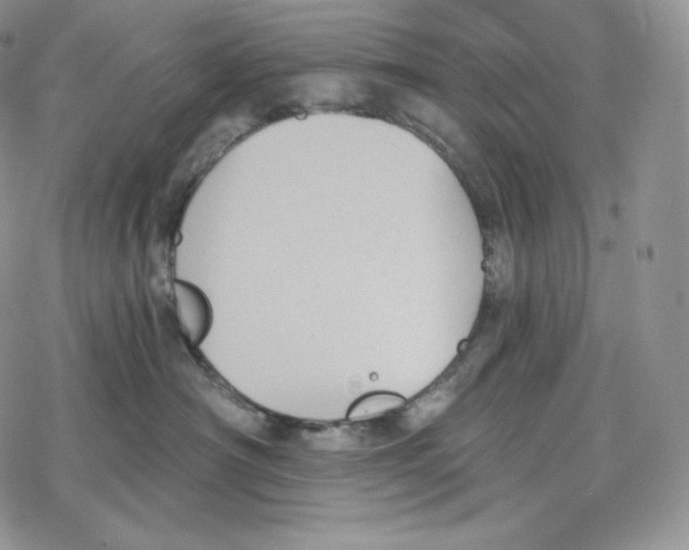 X0000078270430200611251358