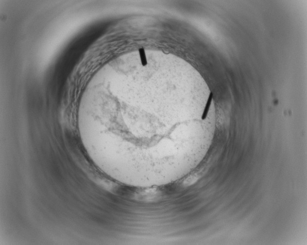 X0000078270431200611251358