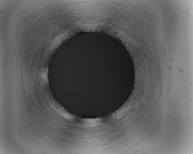 X0000078270432200611251358