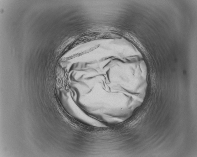 X0000078270433200611251357