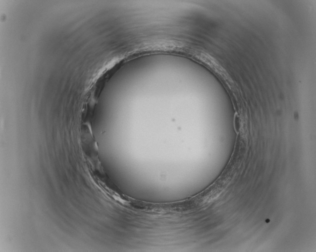 X0000078270434200611251357