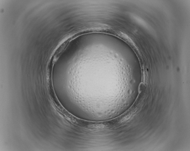 X0000078270435200611251357