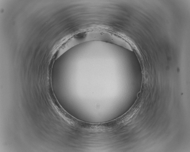 X0000078270437200611251357