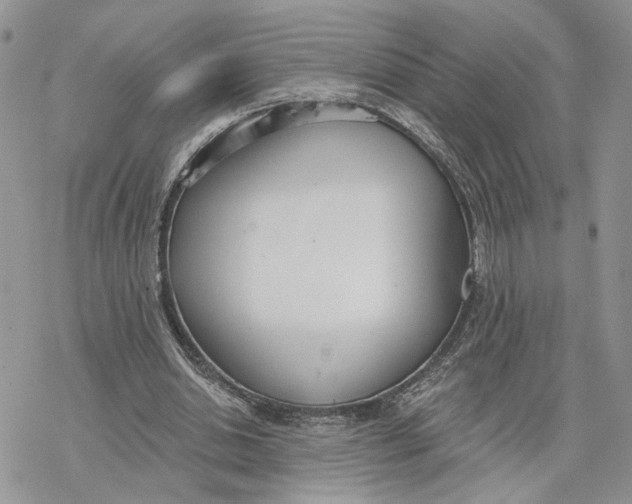 X0000078270438200611251357