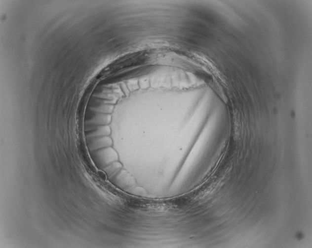 X0000078270439200611251357