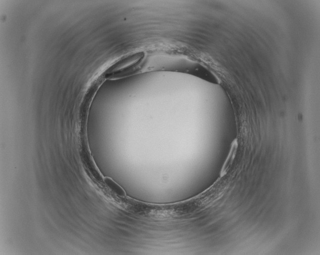 X0000078270440200611251357