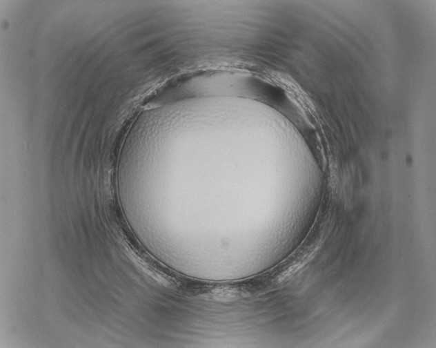 X0000078270441200611251357