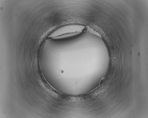 X0000078270442200611251357