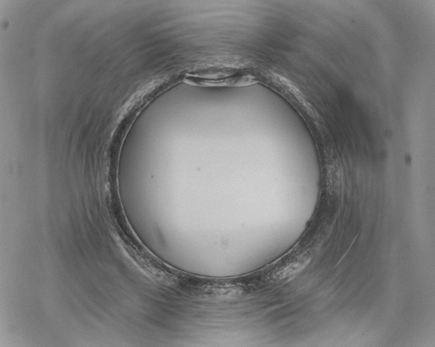 X0000078270443200611251357