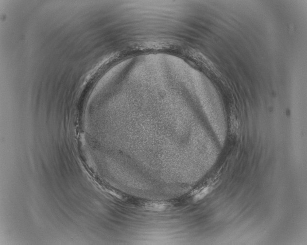 X0000078270444200611251357