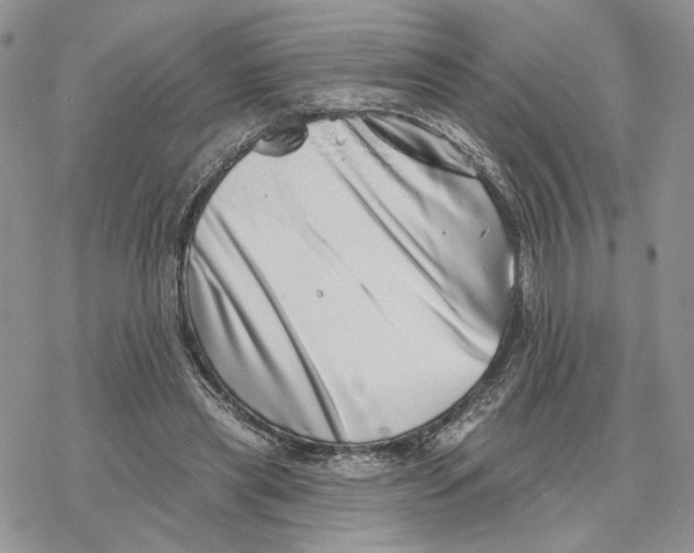 X0000078270445200611251357