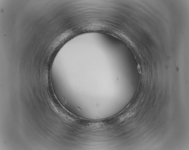 X0000078270446200611251357