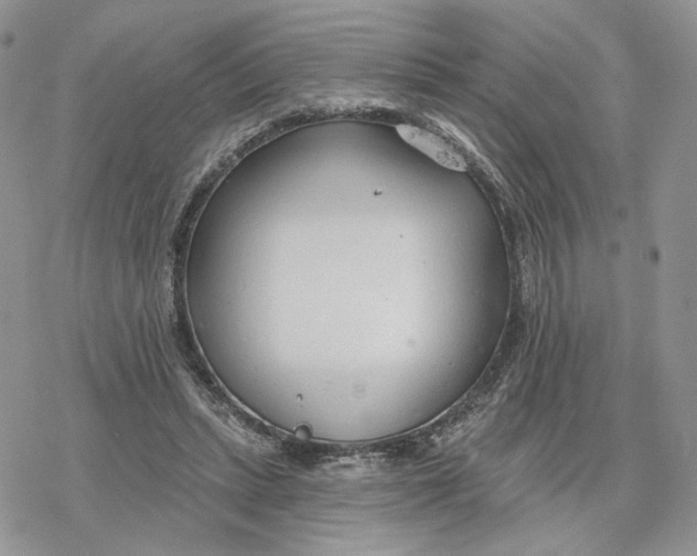 X0000078270447200611251357