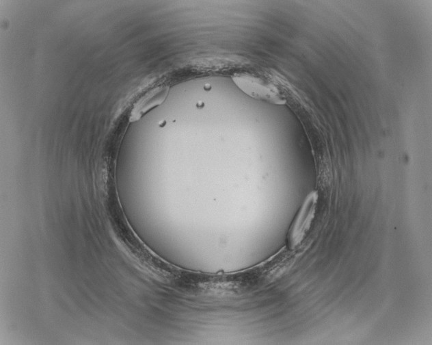 X0000078270448200611251357