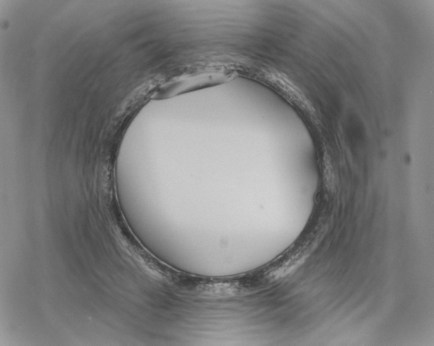 X0000078270449200611251357