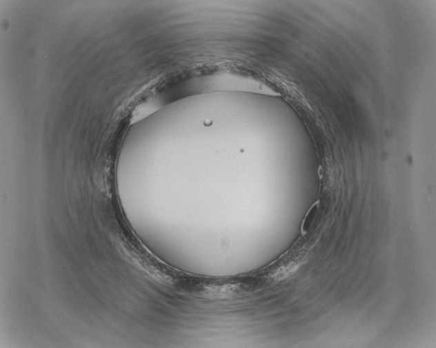 X0000078270450200611251357