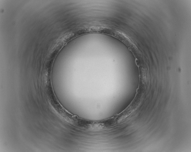 X0000078270451200611251357