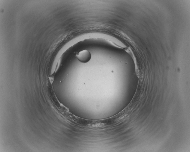 X0000078270452200611251357