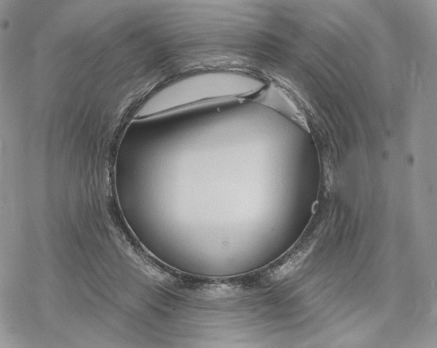 X0000078270453200611251357