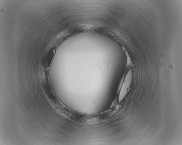 X0000078270456200611251357