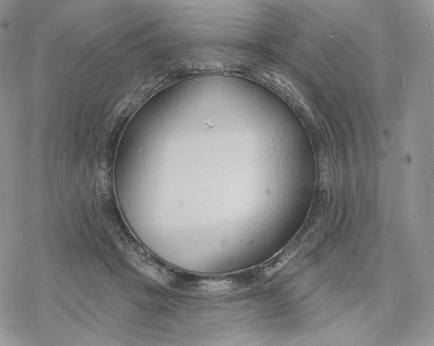 X0000078270457200611251357