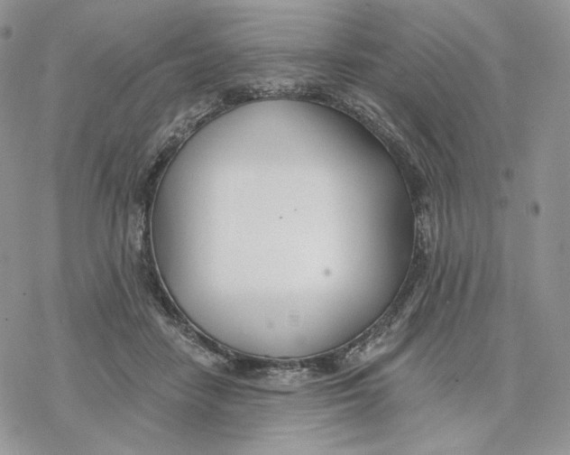 X0000078270458200611251357