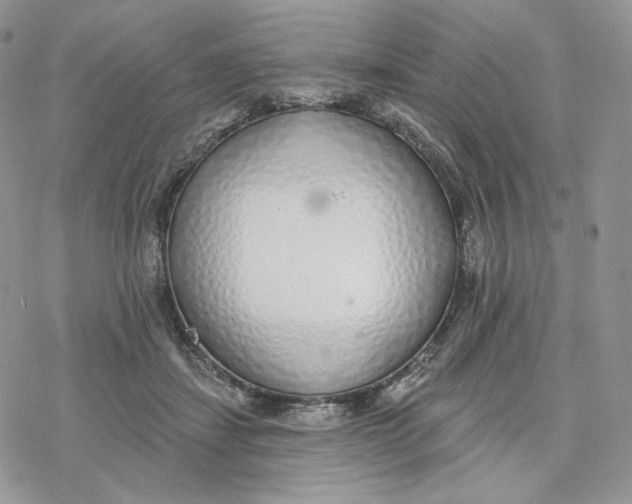 X0000078270459200611251357