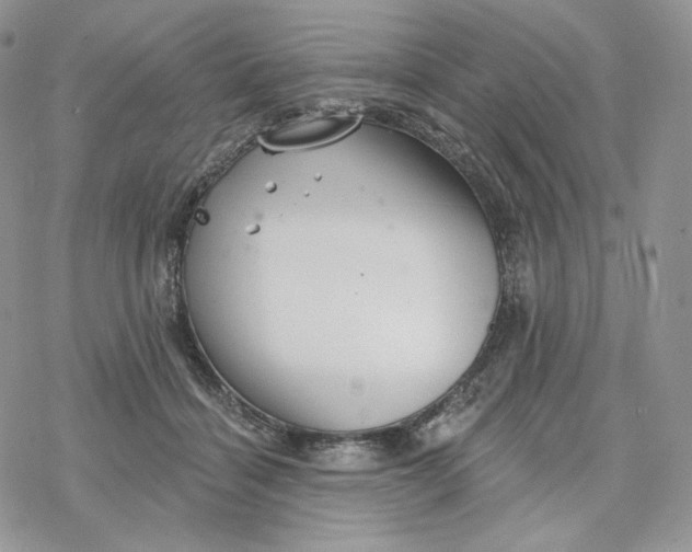 X0000078270460200611251357