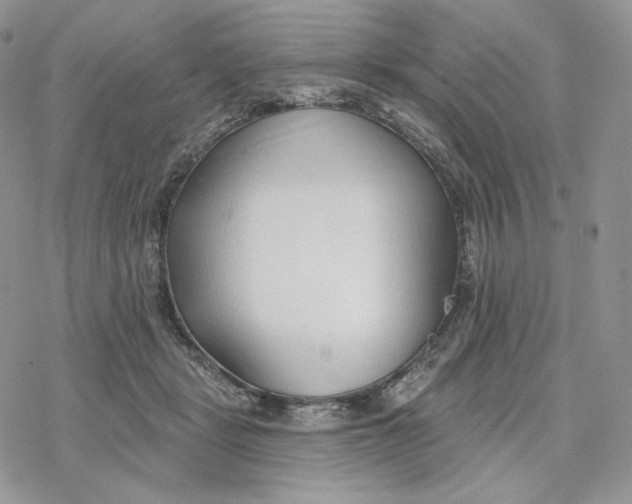 X0000078270461200611251357