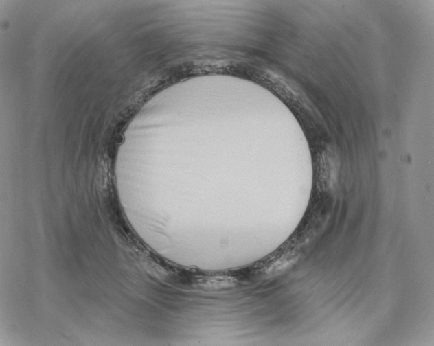 X0000078270463200611251357