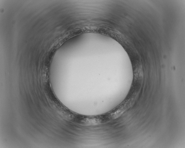 X0000078270464200611251357