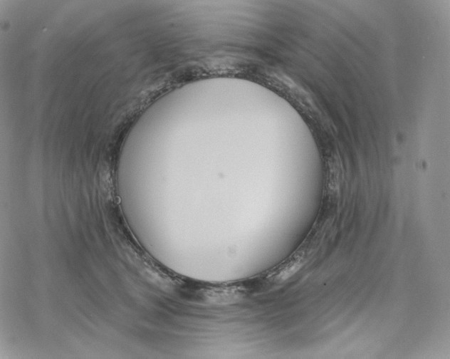 X0000078270465200611251358