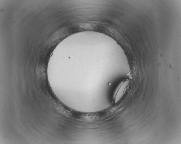 X0000078270466200611251358