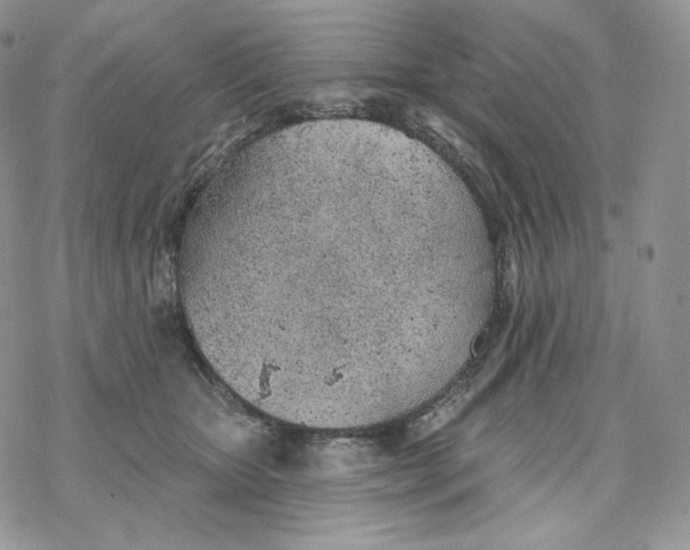 X0000078270467200611251358