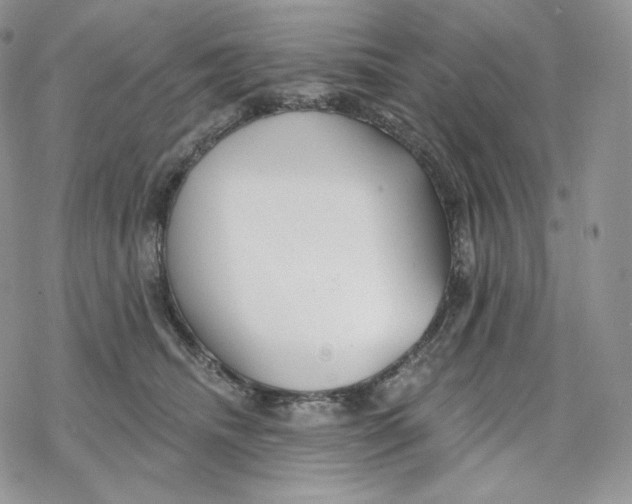 X0000078270468200611251358